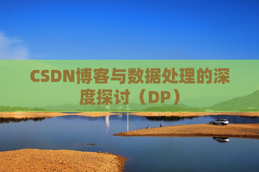 CSDN博客与数据处理的深度探讨（DP）